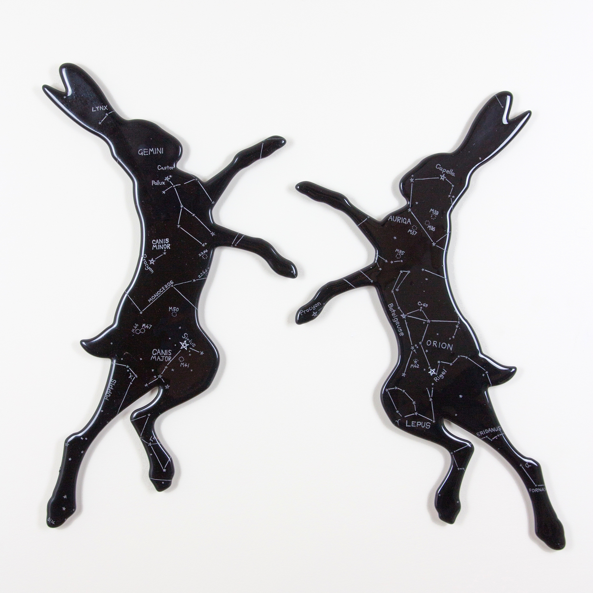 Constellation Hares Constellation Hares